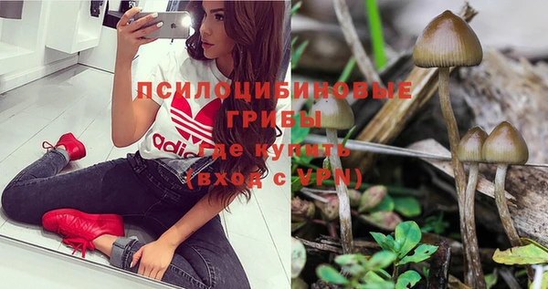 spice Верхний Тагил