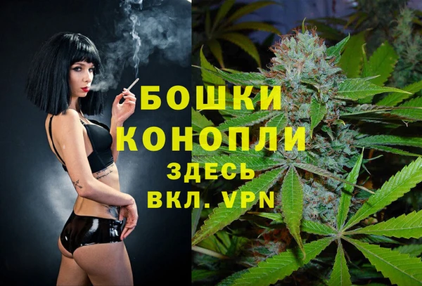 прущие грибы Волосово