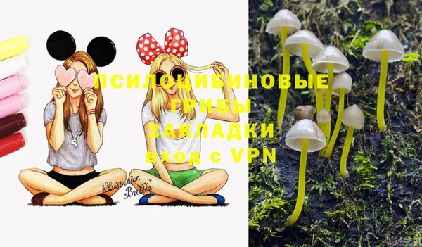 прущие грибы Волосово