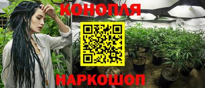 шишки Кунгур