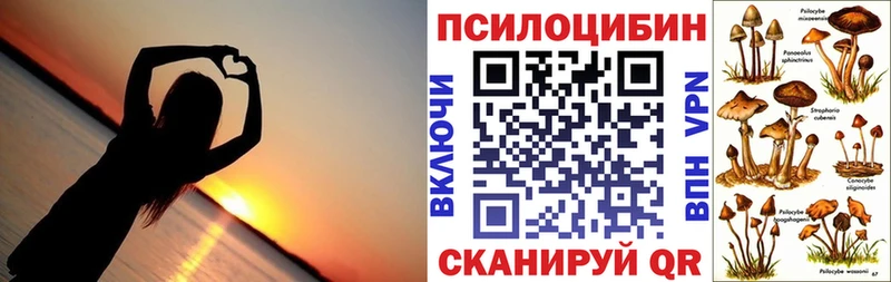 MEGA ссылка Рузаевка Галлюциногенные грибы Psilocybe
